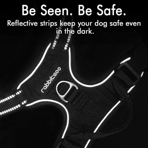rabbitgoo Dog Harness, No-Pull Pet Harness with 2 Leash Clips, Adjustable Soft Padded Vest, Reflective No-Choke Oxford
