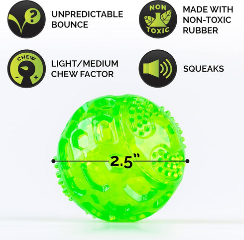 2.5 Inch Hyper Pet DuraSqueak Dog Ball Toy, Interactive Dog Toys that Float and Squeaks for Playing, Fetching