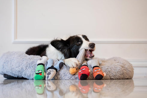 8", (5 1, Squeaky Dog Plush Toy, Tools Bite_Stick Collection, for Small and Medium Dogs in Small)
