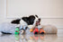 8", (5 1, Squeaky Dog Plush Toy, Tools Bite_Stick Collection, for Small and Medium Dogs in Small)