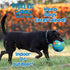 Wobble Wag Giggle Treat Ball, Interactive Dog Toy & Treat Dispenser, Fun Giggle Sounds for Dogs