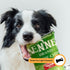Felix & Fido Funny Dog Toys - Potato Chip Bag Plush Squeaker for Small & Medium Dogs - Spicy Bark