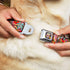 Dog Collar Seatbelt Buckle - Dancing Catrinas Collage Multi Color, 1.5 Inch Wide, 13 to 18 Inches