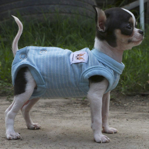 LOPHIPETS Girl Dog Shirts Recovery Suit Pajamas for Small Teacup Dogs, Cambridge Blue Strips/XXS