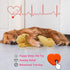 Dog Heartbeat Toy Medium (Yellow) - Plush Calming Toy with Simulated Heartbeat and Heat for Anxiety Relief
