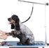 9 Pieces Pet Grooming Loops Nylon Restraint Noose Adjustable Fixed Dog Cat Safety Rope for Pet Grooming Table Bathtub (Black)