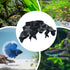 Generic Aquarium Shrimp Tunnel,Stable Hiding Hole Tunnel Shelter | Shrimp Tank Hideouts Decor | for Beginners Feeding
