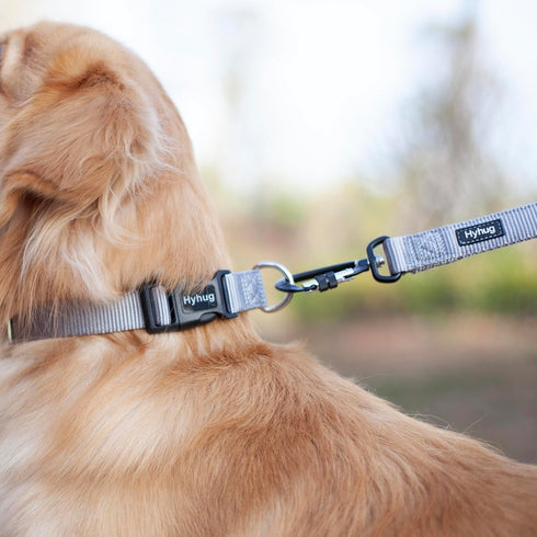 Hyhug Pets Heavy Duty Basic Collar for Large Breeds Dogs, Unique Design Adjustment Triglide Slide, Sleet Gray