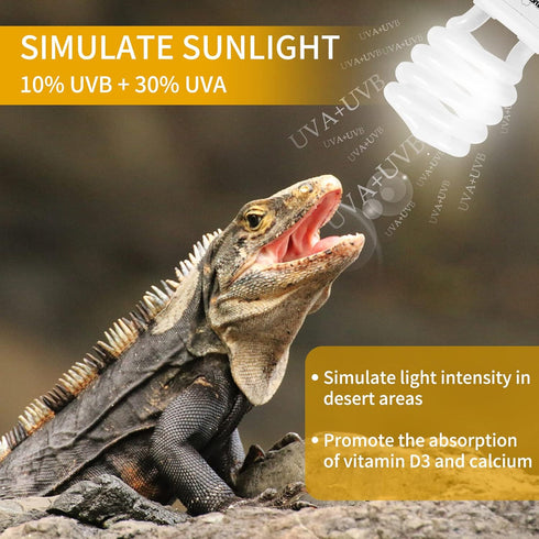 LUCKY HERP Desert UVA UVB Reptile Light Bulb 10.0, 26W Compact Fluorescent Lamp