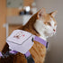 iPlusSmile Pet Backpack Harness with Leash for Small Cat Dog, Adjustable Mini Carrier Backpack for Walking Travel