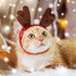 3 Pieces Christmas Pet Costumes Set, Includes Puppy Cat Cloak with Star, Pompoms, Antlers Headband, Santa Cape
