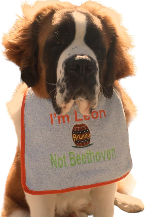 Unique Personalized Saint Bernard Bib with own Name and Brandy Barrel Embroidered