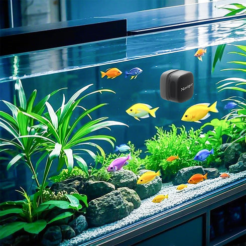 Novique 8mm (5/16 Inches) Mini Aquarium Glass Magnetic Cleaner Brush Small Fish Tank Magnetic Scrubber Suitable