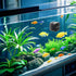 Novique 8mm (5/16 Inches) Mini Aquarium Glass Magnetic Cleaner Brush Small Fish Tank Magnetic Scrubber Suitable