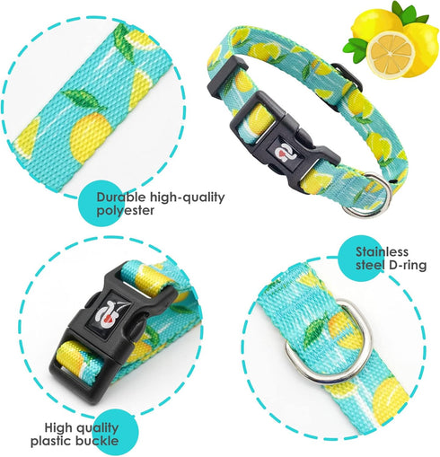 azuza Dog Collar and Leash Set, Blue Nylon with Lemon Patterns, Matching Leash for Extra Small Dogs