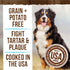 Merrick Fresh Kisses Natural Dental Chews, Toothbrush Shape Treat for Large Dogs, Infused With Real Mint, 16 ct. Box.