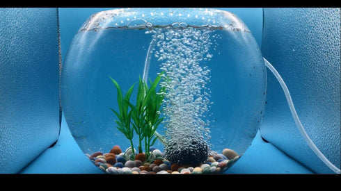 1.6 Inch Air Stone for Aquarium - Air Stone for Fish Tank and Hydroponics Air Pump
