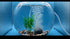 1.6 Inch Air Stone for Aquarium - Air Stone for Fish Tank and Hydroponics Air Pump