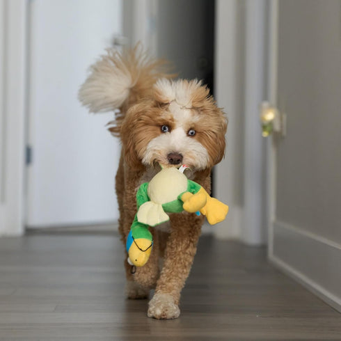 SPOT 14 Chirpies Plush Dog Toy Bird Sound Squeaky Toy for Small and Medium Dogs, Light to Moderate Chewers, Stretchy