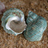 iao.v.p 2pcs 1.9-2.2" Decoration(2pcs Large Hermit Crab Shells, XXL Size Opening Big Hermit Crab Shells, Natural Sea