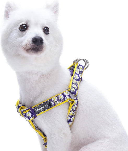 Blueberry Pet Step-in Dog Harness - Small, Adjustable, Loving Daisy Prints, Chest Girth 16.5" - 21.5"