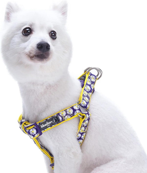 Blueberry Pet Step-in Dog Harness - Small, Adjustable, Loving Daisy Prints, Chest Girth 16.5" - 21.5"