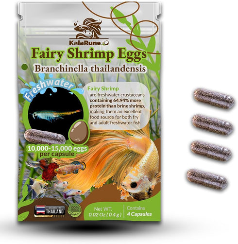 Freshwater Fairy Shirmp Eggs - for Hatching,High Protein Live Fish Food for