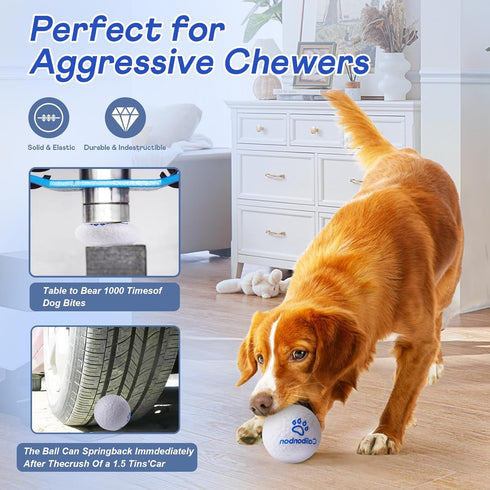 Durable Dog Chew Balls - Indestructible Tennis Balls for Aggressive Chewers - Interactive Bouncy Fetch Toys (2 Balls)