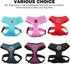 BINGPET Dog Vest Harness, Lightweight Breathable Sports Mesh, Adjustable for Small Dogs
