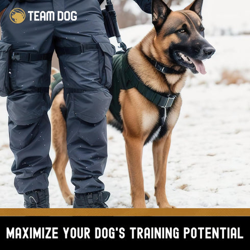 Freeze Dried Turkey Dog Treats for Training | Healthy Gluten Free, Grain Free | No Fillers or By-Products | 5.2 Oz