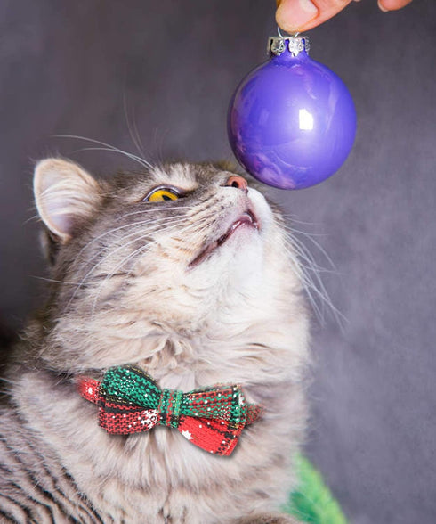 Joytale Upgraded Christmas Cat Collar with Bells, Breakaway Bow Tie, 2 Pack Safety Plaid Kitten Collars