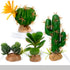 QuarenDen Fake Reptile Plants, Desert Reptile Plants Succulent kit, Reptile Terrarium Decorative, 4