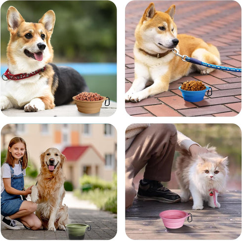 PetBonus 2-Pack Silicone Collapsible Dog Bowls, BPA Free Portable Foldable Travel Bowl for Dogs Cats with 2 Carabiners