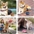PetBonus 2-Pack Silicone Collapsible Dog Bowls, BPA Free Portable Foldable Travel Bowl for Dogs Cats with 2 Carabiners