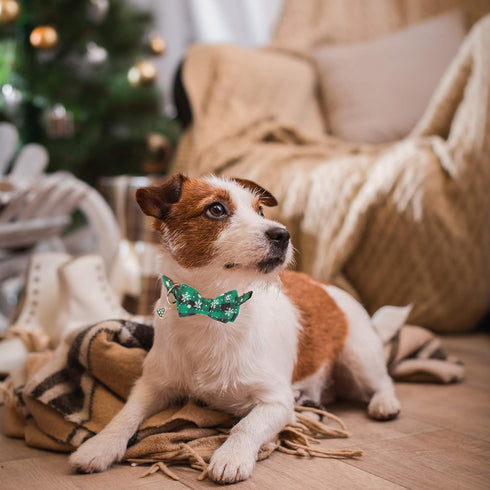 ADOGGYGO Christmas Dog Collar with Bow Tie, Adjustable Red Green Plaid Collar for Small Dogs.