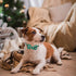 ADOGGYGO Christmas Dog Collar with Bow Tie, Adjustable Red Green Plaid Collar for Small Dogs.