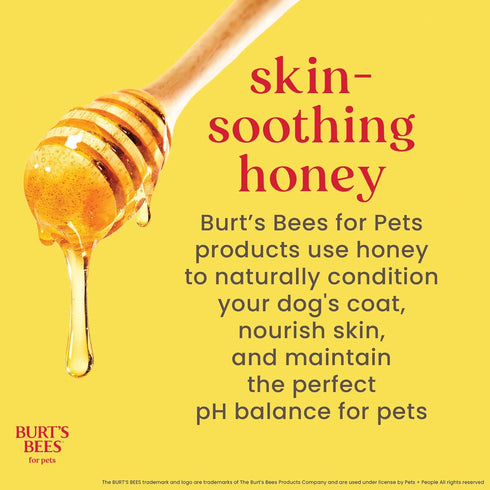 2 1 16 Oz Burt's Bees for Pets Tearless in Shampoo and Conditioner - Made with Lemongrass and Sage- Best Shampoo
