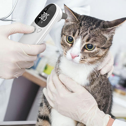 Generic Cat and Dog Ear Temperature Monitor,Pet Only,Dog and Cat Ear Care Supply,Take Pet Temperature Tool