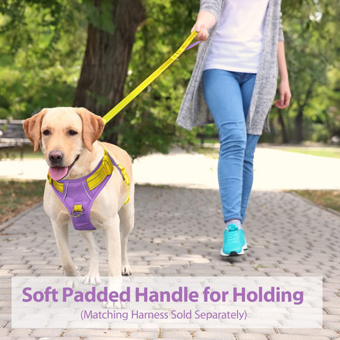 PHOEPET 5 Feet Dog Leash - Dual-Side Reflective - Soft Padded Handle - Fit for Walking, Training or Exploring Hiking, Camping (Yellow + Baby Purple Base)