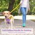 PHOEPET 5 Feet Dog Leash - Dual-Side Reflective - Soft Padded Handle - Fit for Walking, Training or Exploring Hiking, Camping (Yellow + Baby Purple Base)