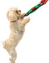 Pets First NCAA Football Field Dog Toy with Squeaker, USC Tigers, Durable for Tug, Toss, and Fetch