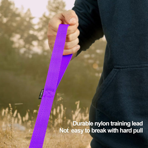 Dog/Puppy Obedience Recall Training Agility Lead - 15 ft 20 ft 30 ft 40 ft 50 ft Long Leash (30 Feet, Purple)