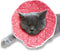 SunGrow Cat Cone Collar Soft, Elizabethan E Collar for Cats & Kittens After Surgery, Recovery Suit for Wound Cover