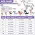 Dog Surgery Recovery Suit, Spay Neuter Onesie for Male Female Dogs, Cone Alternative, Purple, Medium