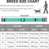 Dynmeow Reflective Dog Collar and Leash Set, Adjustable Pet Collar with Soft Neoprene Padding, 6FT Strong Climbing Rope