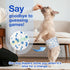 20Counts) MICOOYO Dog Diapers Male Disposable Super Absorbent Male Dog Wraps Lighter Dogs Diaper Leakproof Puppy Diaper
