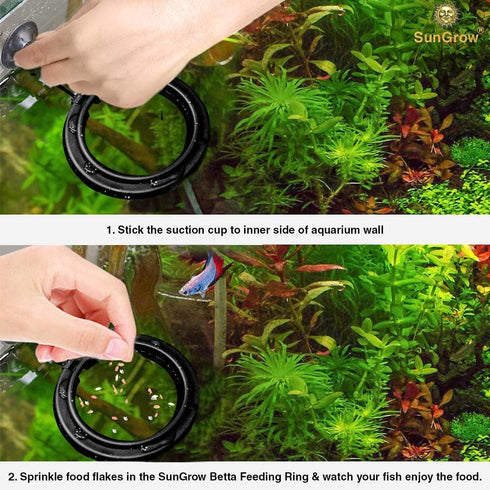 Betta Feeding Ring by SunGrow, Prevent Water Turbulence from Washing Food into Filter, Suitable for Guppy, Goldfish and