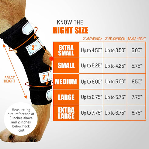 NeoAlly Rear Leg Hock Brace for Large Dogs, Metal Spring Strips for Hock & Ankle Support, Medium Size