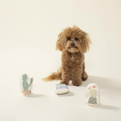 Fringe Studio Mini Potted Cactus Toy Set of 3 (521014) Multicolored