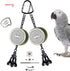 Colorday Bird Toys Parrot Talking Coach & Interactive Voice Bell for Parakeet, African Grey, Amazon Parrots, Quaker